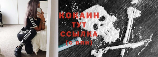 первитин Новодвинск