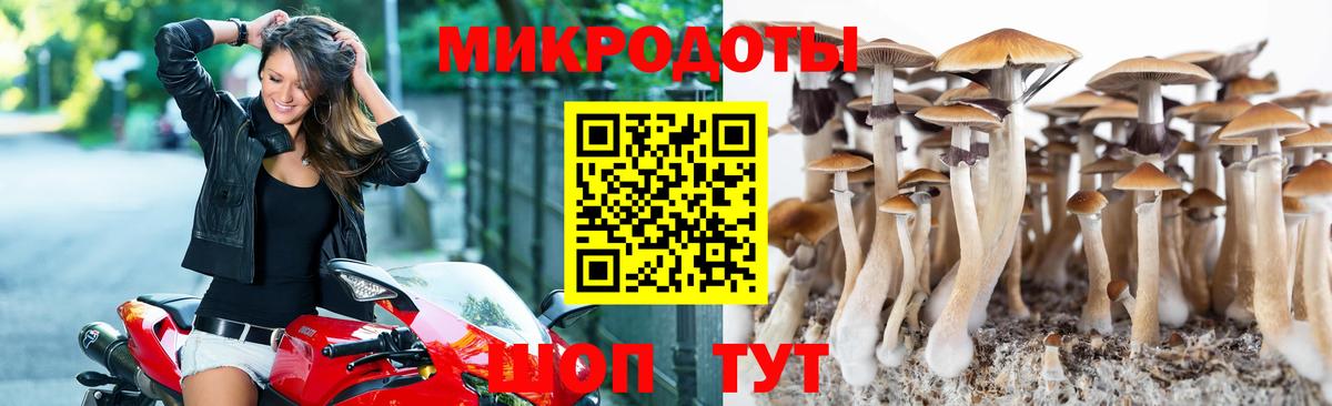 Псилоцибиновые грибы MAGIC MUSHROOMS Нижний Тагил
